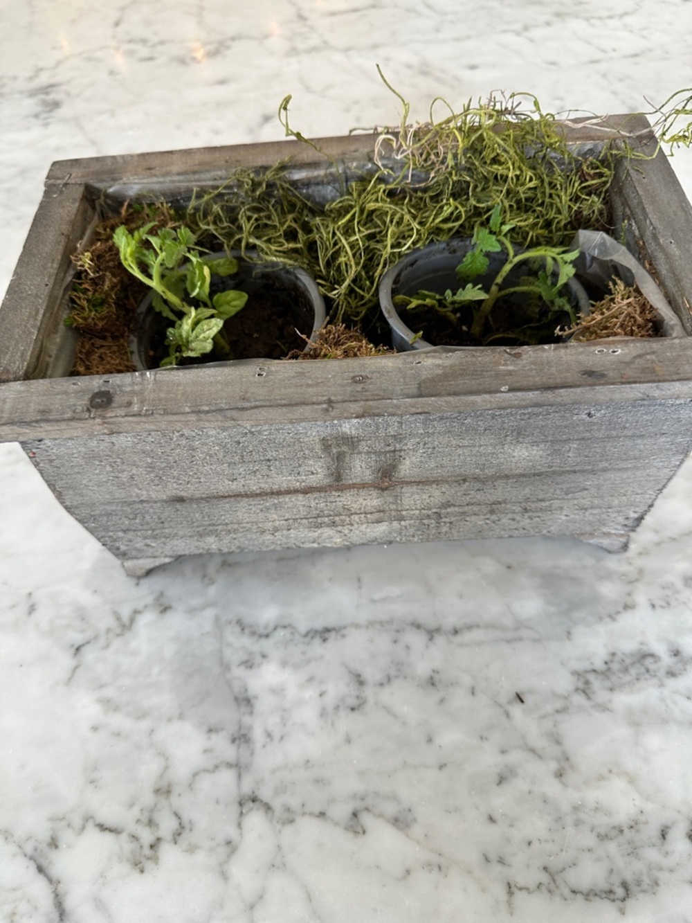 Rustic Gray Wooden Planter Box with Moss and Greenery